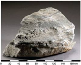 Siltstone of the Tolo Harbour Formation